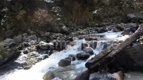 山中的森林和河流视频的预览图