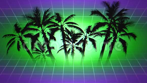 运动复古夏季抽象背景棕榈树在框架视频的预览图