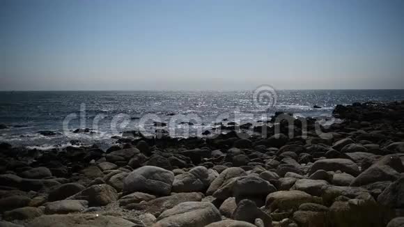 美丽的海景岩石海岸许多海鸥视频的预览图