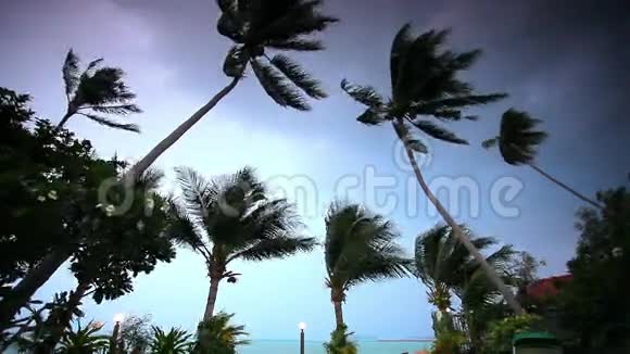 热带地区的雨季海洋海岸视频的预览图