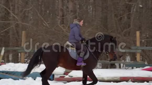 慢动作一个女骑师完成骑马它表演各种运动动作和跳跃培训视频的预览图