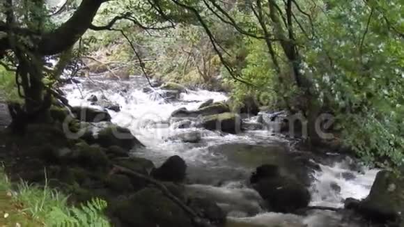 托克瀑布基拉尼国家公园爱尔兰视频的预览图