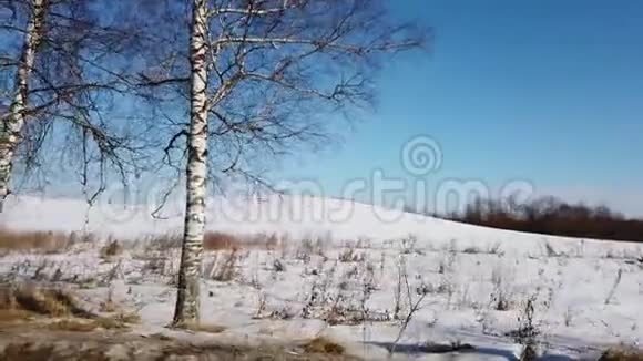 冬天太阳和自然视频的预览图