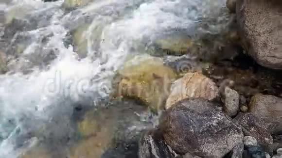 山中的森林和河流视频的预览图