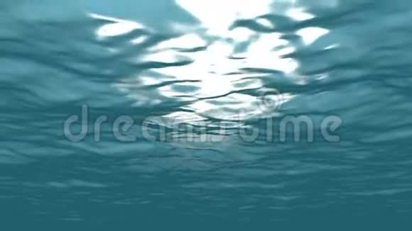 水下海洋视频的预览图
