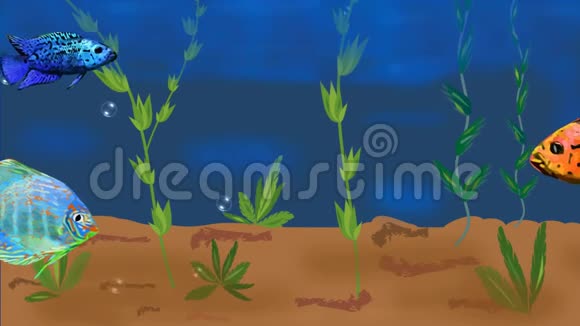 动画水族馆与五颜六色的热带鱼和植物上升气泡无缝可循环视频动画视频的预览图