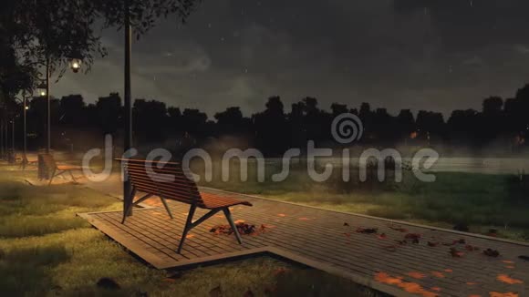 秋雨夜有长椅的公园步道视频的预览图