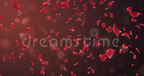 飞舞的浪漫暗红色玫瑰花瓣飘落背景循环4k视频的预览图