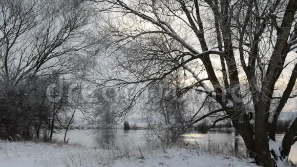 哈维尔河景观勃兰登堡德国冬季与冰雪流动的水视频的预览图