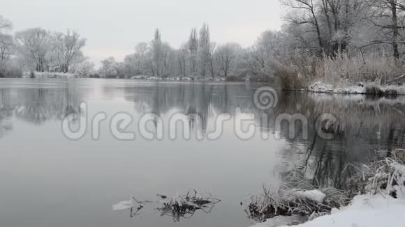 哈维尔河景观勃兰登堡德国冬季与冰雪流动的水视频的预览图