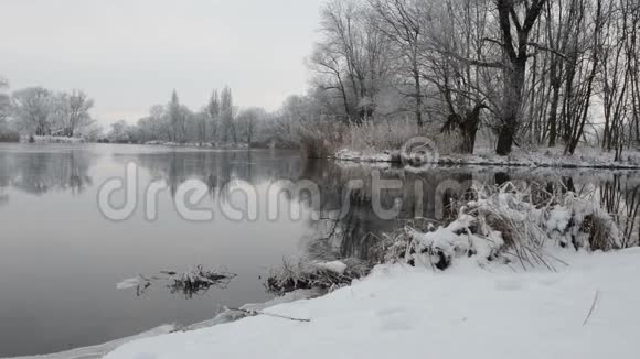 哈维尔河景观勃兰登堡德国冬季与冰雪流动的水视频的预览图