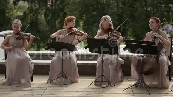 音乐四重奏三个小提琴手和大提琴演奏音乐很长一段时间视频的预览图