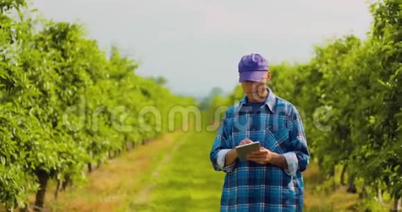 农民利用数字平板检查果园植物叶片视频的预览图
