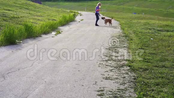 下面的动作年轻的女孩玩狗品种美国斯塔福德郡猎犬视频的预览图