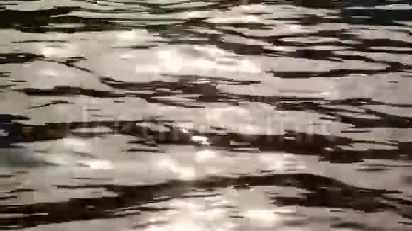 上奥地利格蒙登附近的特拉翁湖水边视频的预览图