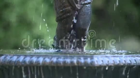公园喷泉水流缓行视频的预览图