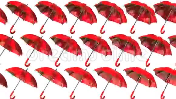许多红伞视频的预览图