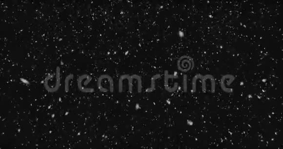 飘落现实的雪花从上到下平静的雪在黑色的背景上孤立柔和的抽象雪视频的预览图