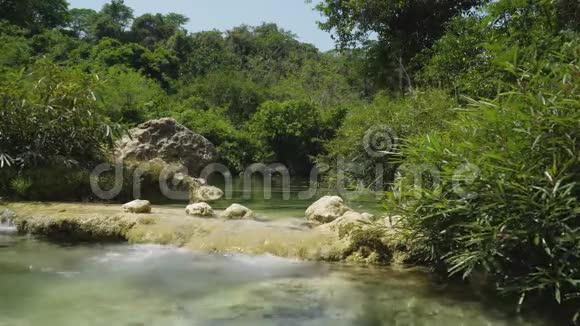 雨林里的河流视频的预览图