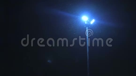 夜幕降临的冬季路灯雪花飘落视频的预览图