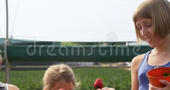 在农场里拿草莓的女孩视频的预览图