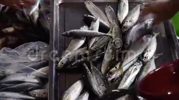 菲律宾的鱼类市场视频的预览图