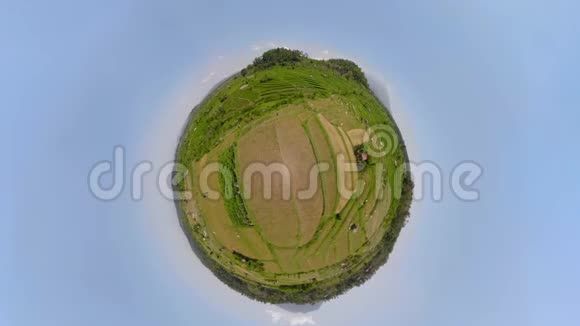 印度尼西亚的水稻梯田视频的预览图