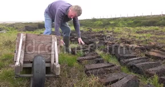 爱尔兰苔藓沼泽中用铁锹切割和安装草皮泥炭视频的预览图