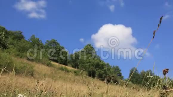 在法国比利牛斯的一片草地上移动的云层时间视频的预览图