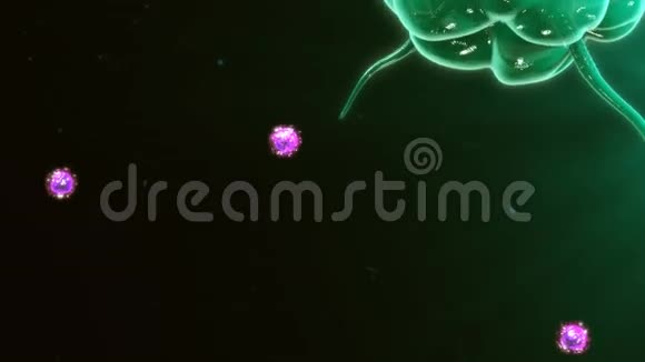 巨噬细胞视频的预览图
