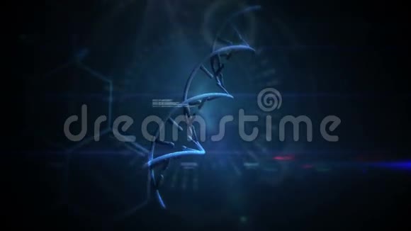DNA矩阵的视频视频的预览图