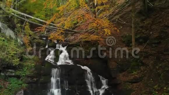 喀尔巴阡山秋林美丽的瀑布视频的预览图