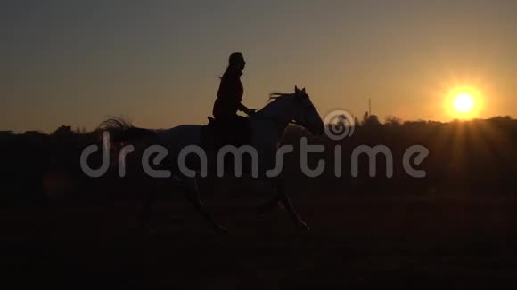 夕阳下骑马的剪影慢动作视频的预览图