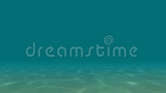 水下清澈的海洋视频的预览图
