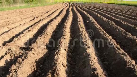 春田后土豆种植视频的预览图