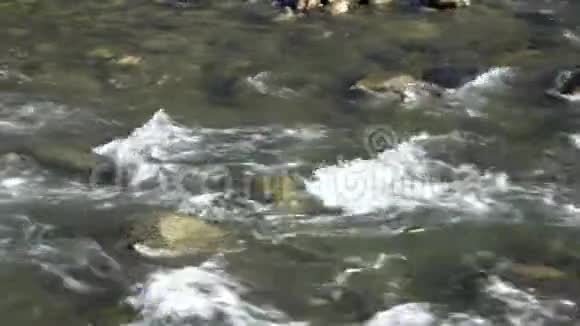 南蒂罗尔河视频的预览图