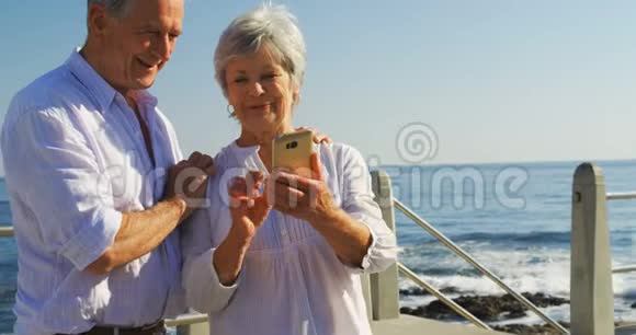 老年夫妇使用手机4k视频的预览图