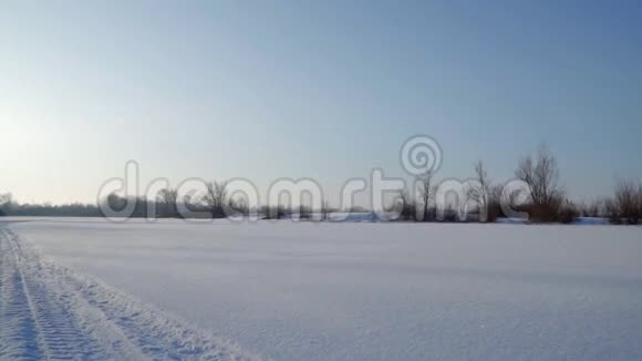 白雪覆盖的田野灌木丛和树木视频的预览图