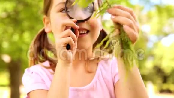 小女孩用放大镜看植物视频的预览图
