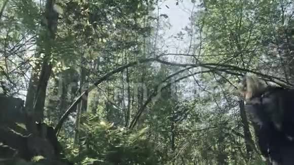 游客在森林中拍摄风景一个白种人的女人拍摄漂亮的魔术外观女孩拍照视频视频的预览图