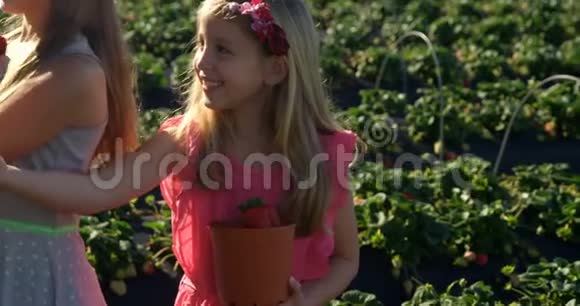 在农场里拿草莓的女孩视频的预览图