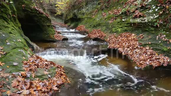 秋天的秋溪峡视频的预览图