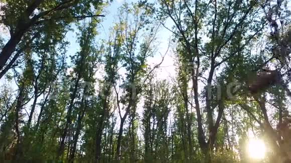 苗条的少年正在森林里的小径上奔跑男孩受过良好的跑步训练自然运动视频的预览图
