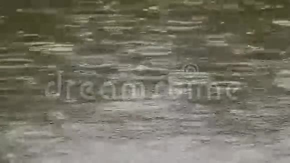 绿色的雨背景视频的预览图
