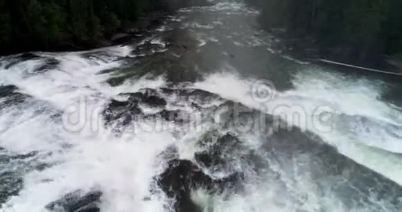 河流流经绿色森林4k视频的预览图