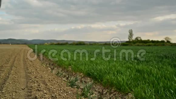 农民调查和控制小麦种植场作物保护理念视频的预览图