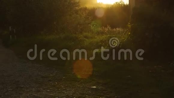 夕阳和乡村风景视频的预览图