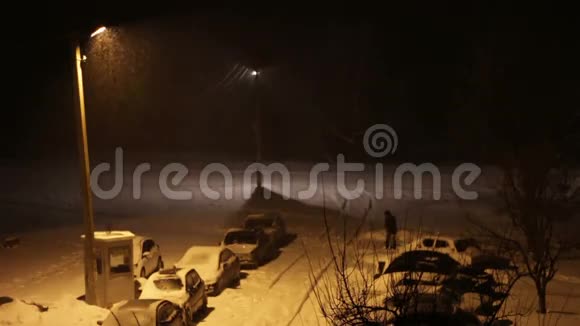夜之雪的背景视频的预览图