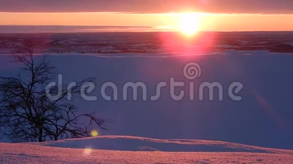 芬兰拉普兰美丽的冬季景观视频的预览图