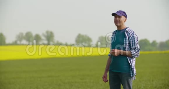 微笑成熟的农民审视农业领域视频的预览图